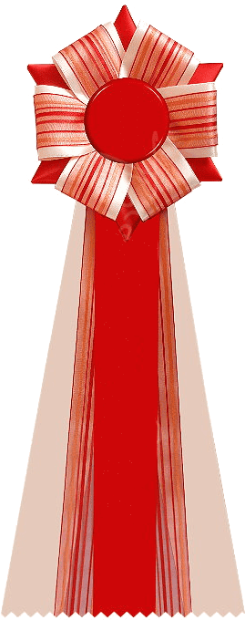 Ribbon_tripolis_8