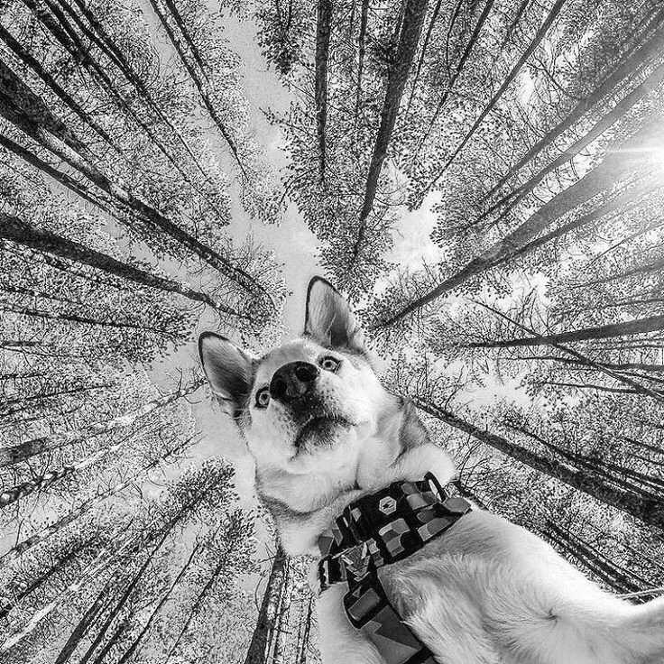 Pubertät