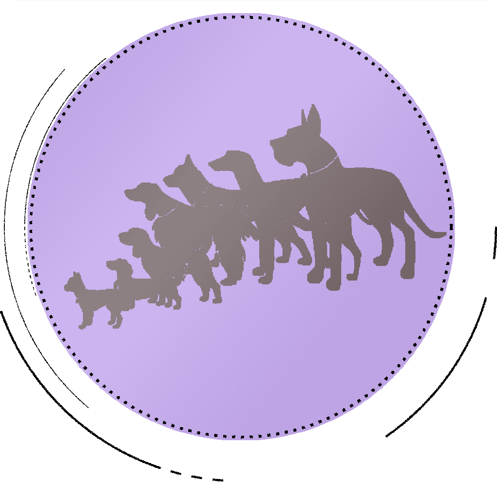 Icon Gruppe