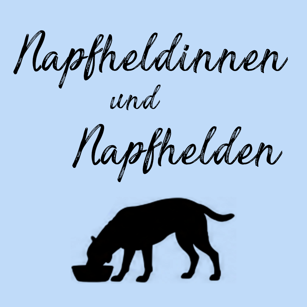 NEW Icon 06 Gruppentraining3