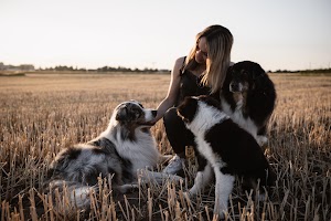 Ortsbild von „Hundeschule Leading.Dogs - Anita Schnorr“