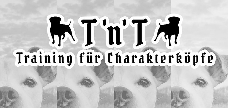 t'n't Hundeschule